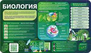 Информационный стенд по Биологии